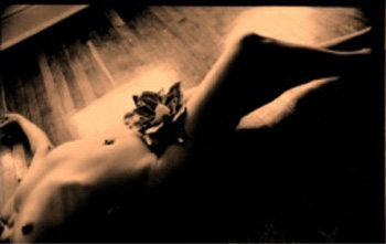 Para Leila M�collis com carinho!